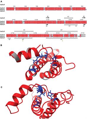 Rabbit PrP Is Partially Resistant to in vitro Aggregation Induced by Different Biological Cofactors